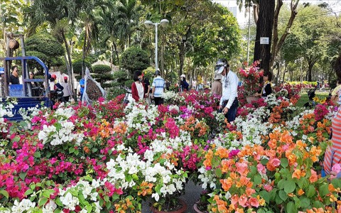 Ngành kinh tế sinh thái trong xây dựng Nông thôn mới. Hoa Cây cảnh
